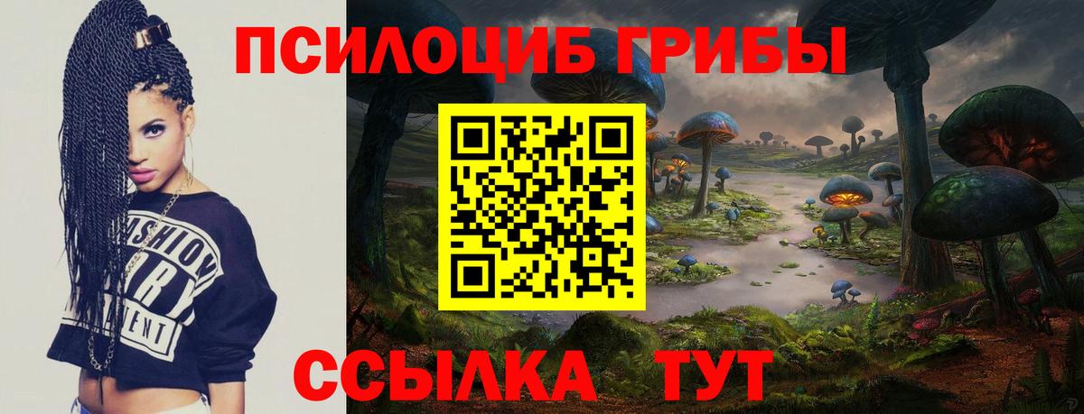 Нефтекамск  купить  цена  Вход с VPN  Псилоцибиновые грибы GOLDEN TEACHER 